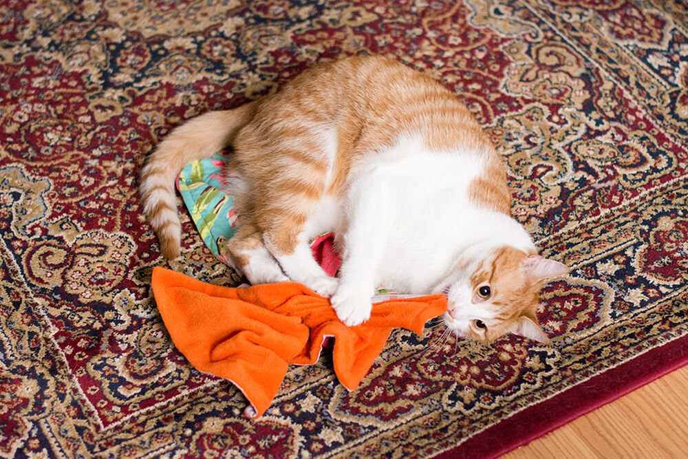 How to Make a Catnip Blanket