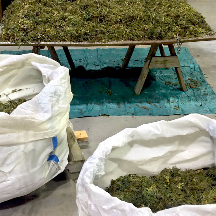 Bulk Bags for the Hemp &#038; Marijuana Industries