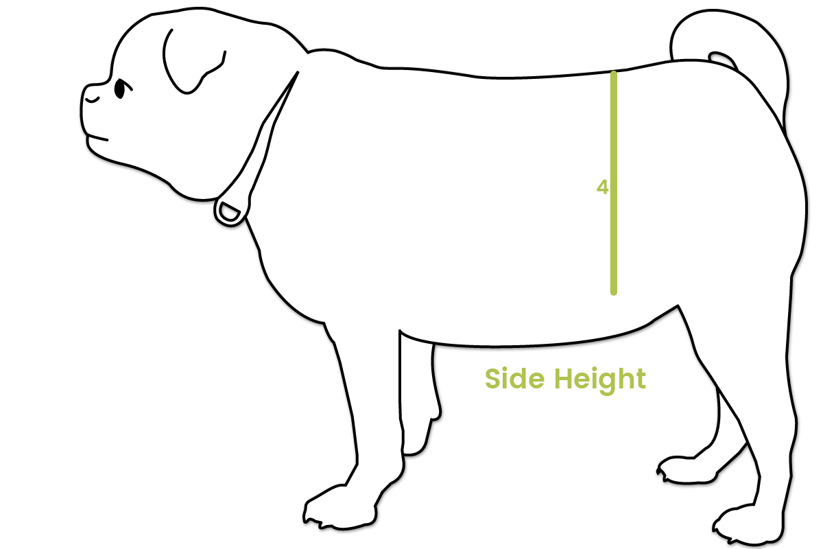 Side Height